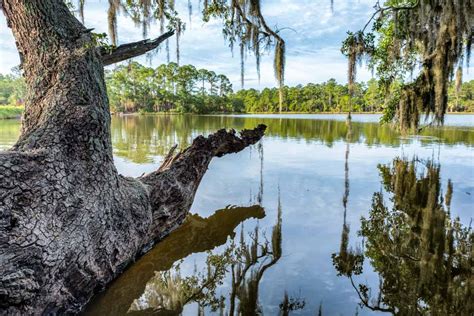 Spring island sc - Spring Island, SC One Hampton Lake BLUFFTON, SC ... Spring Island is a 3,000-acre nature preserve and residential community in the heart of South Carolina’s fabled Lowcountry. As a community ...
